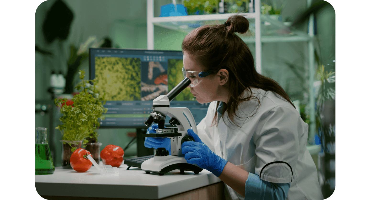 Improved food safety and quality control