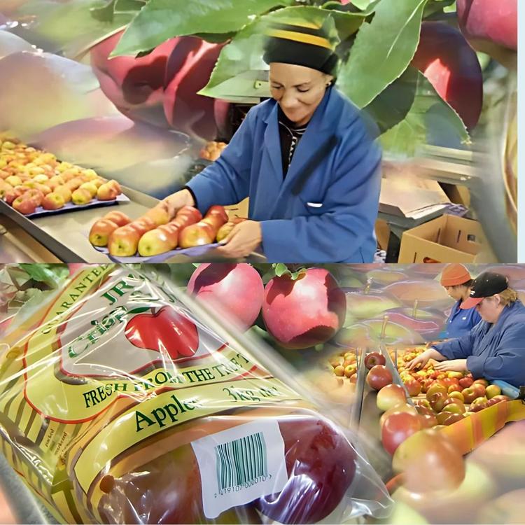Ensuring Freshness with GS1 Barcodes: Farm to Fork Transparency