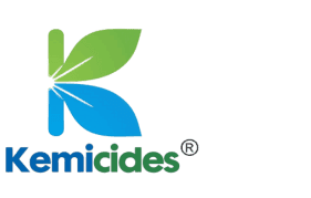 Untitled design (49).png